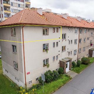 Prodej bytu 3+1 70 m² Písek