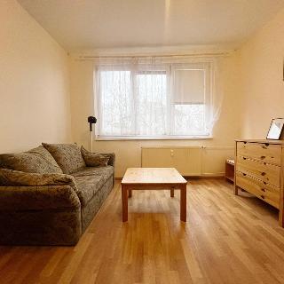 Pronájem bytu 1+kk a garsoniéry 22 m² Strakonice