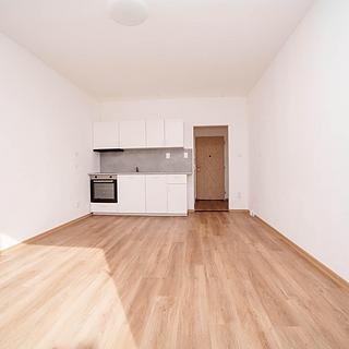 Pronájem bytu 1+kk, garsoniery 24 m&sup2; Strakonice