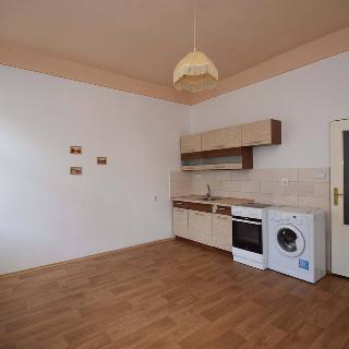 Pronájem bytu 1+kk a garsoniéry 25 m² Strakonice