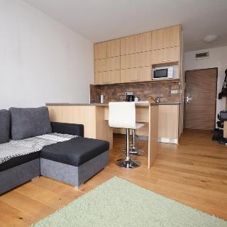 Pronájem bytu 1+kk a garsoniéry 24 m² Strakonice