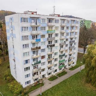 Prodej bytu 3+1 64 m² Strakonice