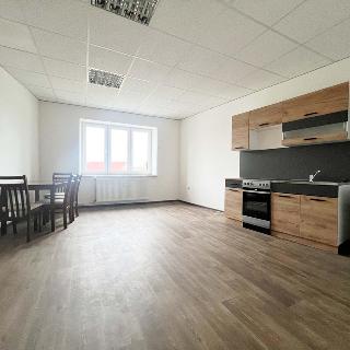 Pronájem bytu 1+1 40 m² Strakonice