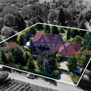 Prodej rodinného domu 354 m&sup2; Strážovice