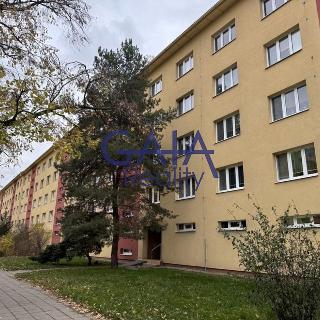 Pronájem bytu 1+1 37 m² Hodonín