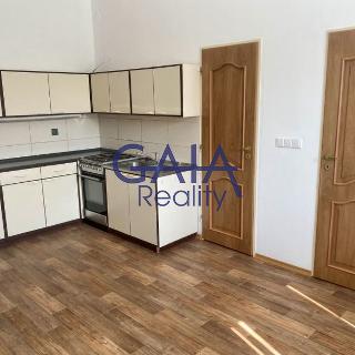 Prodej rodinného domu 292 m² Bzenec, Tyršova