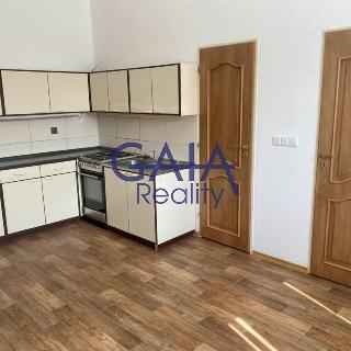 Pronájem rodinného domu 292 m² Bzenec, Tyršova