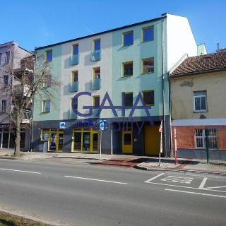 Pronájem bytu 1+kk a garsoniéry 30 m² Prostějov, Kostelecká