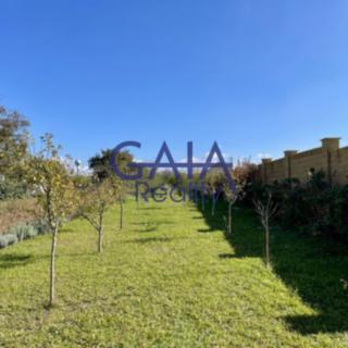 Prodej zahrady 867 m&sup2; Veselí nad Moravou