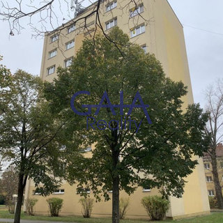 Prodej bytu 4+1 91 m² Hodonín, Lipová alej