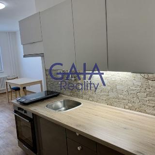 Pronájem bytu 1+kk a garsoniéry 29 m² Veselí nad Moravou, Chaloupky