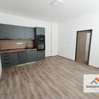 Pronájem bytu 2+kk 68 m² Vrchlabí, 