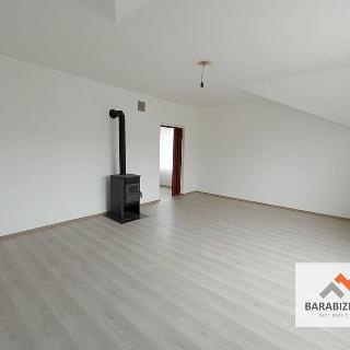 Prodej bytu 1+1 45 m² Hostinné, 