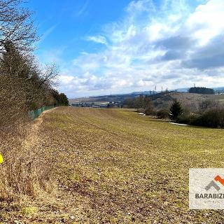 Prodej zemědělské půdy 9 026 m² Lomnice nad Popelkou, 