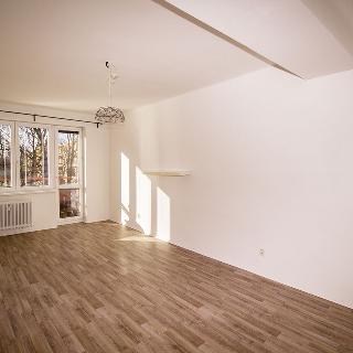 Pronájem bytu 2+1 54 m² Havířov, Junácká