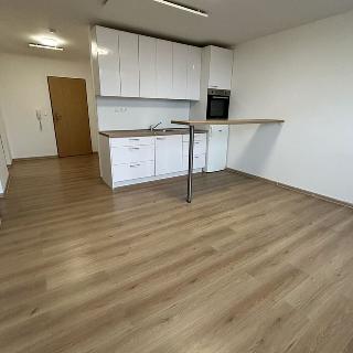 Pronájem bytu 2+kk 56 m² Bruntál, Příčná