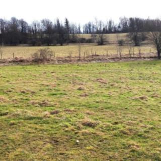 Prodej stavební parcely 3 103 m² Zlaté Hory Ondřejovice