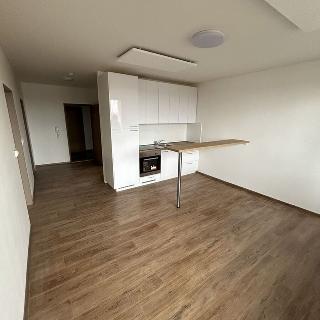 Pronájem bytu 2+kk 57 m², Příčná