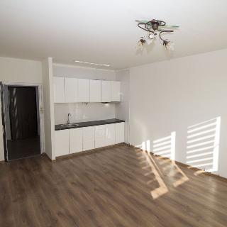 Prodej bytu 1+kk a garsoniéry 22 m² Havířov, Zvonková