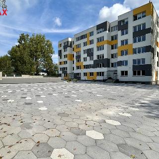 Pronájem bytu 5+kk 118 m² Bruntál, Příčná