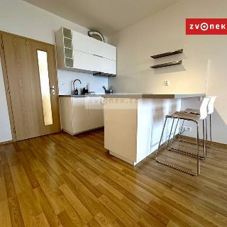 Pronájem bytu 1+kk a garsoniéry 31 m² Zlín, Podlesí II