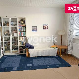 Prodej bytu 2+1 45 m² Zlín, 