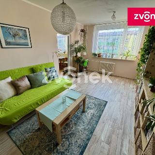 Prodej bytu 3+1 83 m² Napajedla, Nábřeží