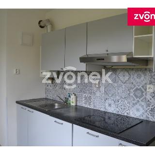 Prodej bytu 3+1 68 m² Vsetín, Družstevní