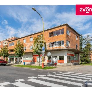 Prodej bytu 4+1 90 m² Otrokovice, Erbenova