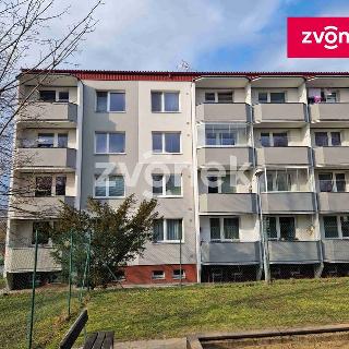 Pronájem bytu 1+1 33 m² Bojkovice, Nad Zahradami