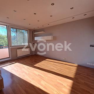 Pronájem bytu 2+1 48 m&sup2; Zlín