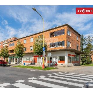 Prodej bytu 4+1 90 m² Otrokovice, Erbenova