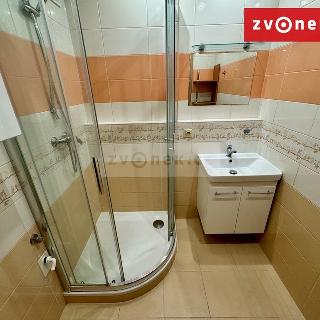 Pronájem bytu 1+1 35 m² Zlín, Větrná