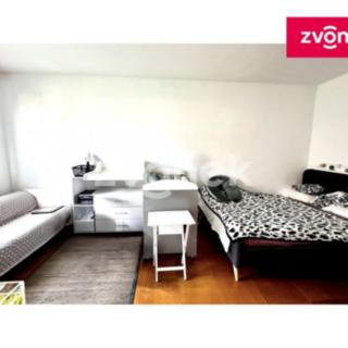 Pronájem bytu 1+1 30 m² Zlín