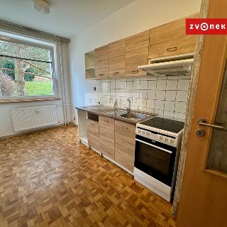 Pronájem bytu 2+1 55 m² Zlín, Luční