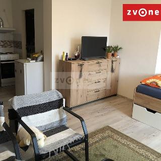 Pronájem bytu 1+kk a garsoniéry 28 m² Zlín, Svat. Čecha