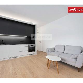 Pronájem bytu 1+kk a garsoniéry 28 m² Zlín, Lorencova