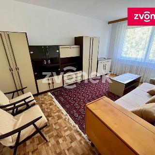 Prodej bytu 1+1 35 m² Zlín, U Trojáku