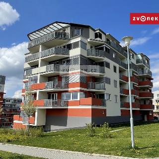 Pronájem bytu 2+kk 55 m² Zlín, Zelinova