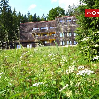 Pronájem hotelu a penzionu 800 m² Velké Karlovice