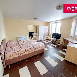 Pronájem bytu 2+kk 55 m² Boršice u Blatnice