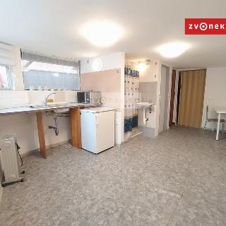 Pronájem bytu 1+kk a garsoniéry 24 m² Zlín, 