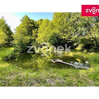 Prodej ostatních pozemků 7474 m&sup2; Prlov