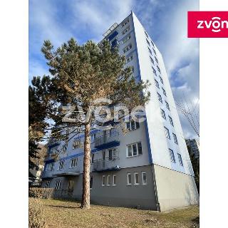 Pronájem bytu 3+1 68 m² Zlín, Beckovská