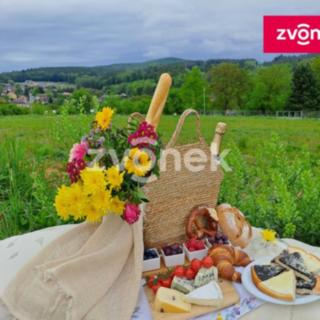 Prodej stavební parcely 3280 m² Racková