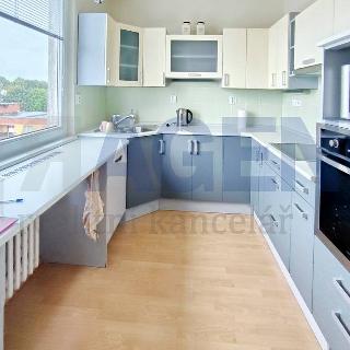 Pronájem bytu 3+1 83 m² Žamberk, Pionýrů