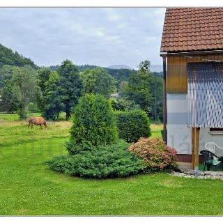 Prodej chalupy 180 m² Jívka, 