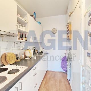 Prodej bytu 1+kk a garsoniéry 46 m² Praha, Poznaňská