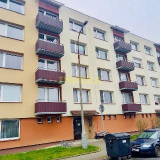 Prodej bytu 1+1 35 m² Soběslav, Sídliště Míru