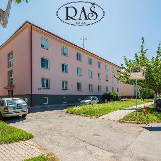 Prodej bytu 1+1 33 m² Pardubice, Na Okrouhlíku